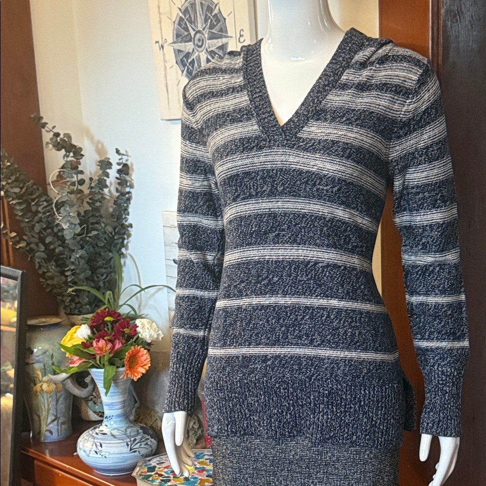 NWT Eddie Bauer size small Striped V-Neck Sweater - Blue and Gray